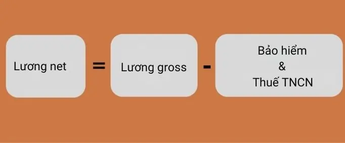 tính lương net